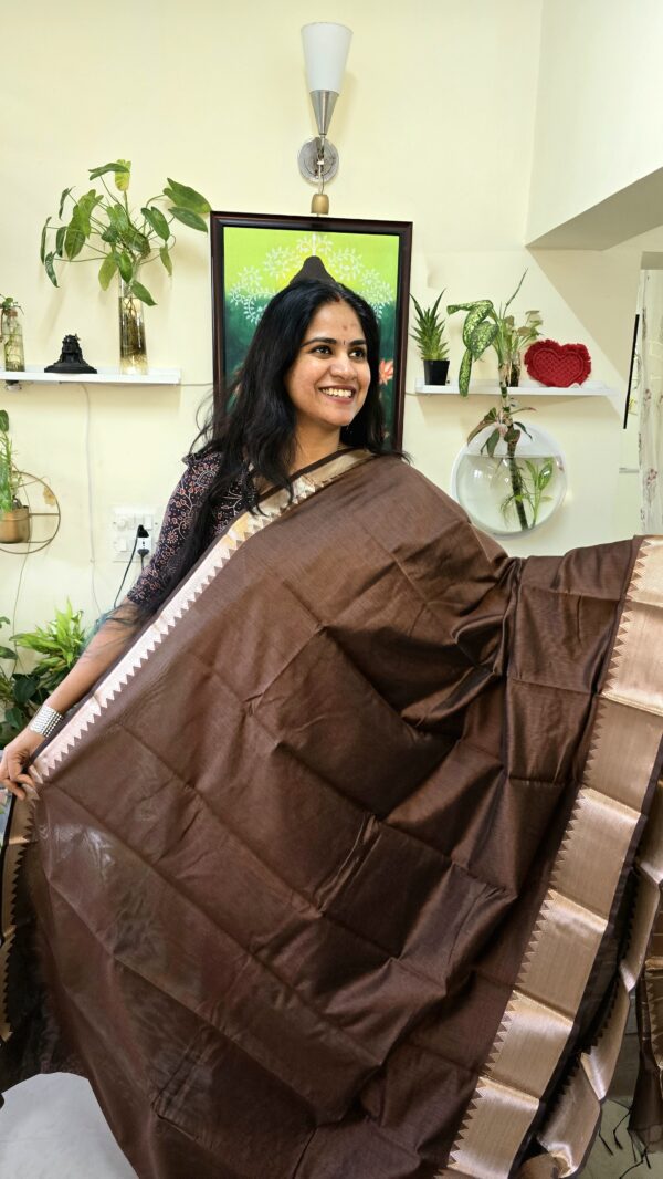 Brown silk cotton saree